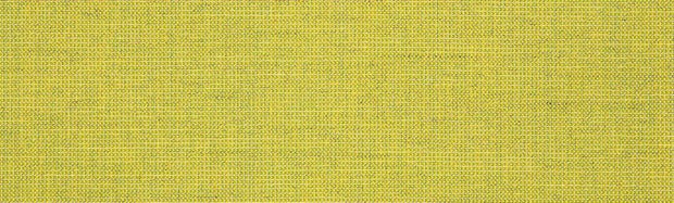 Cast Citrus Sunbrella