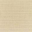 Dupione Sand Sunbrella
