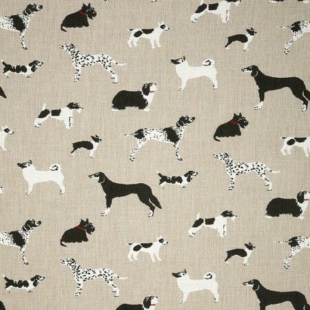 Fetch Bone Sunbrella