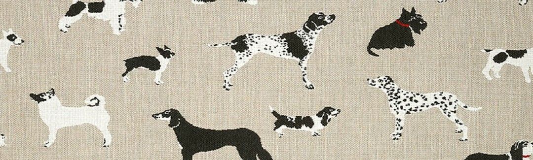 Fetch Bone Sunbrella