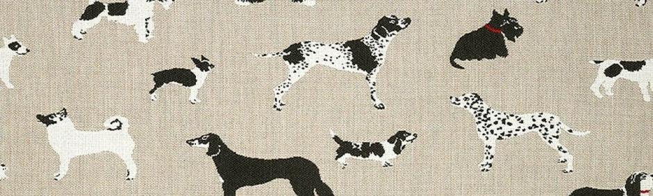 Fetch Bone Sunbrella