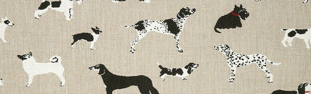 Fetch Bone Sunbrella