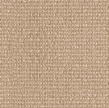 Cruise color 14
