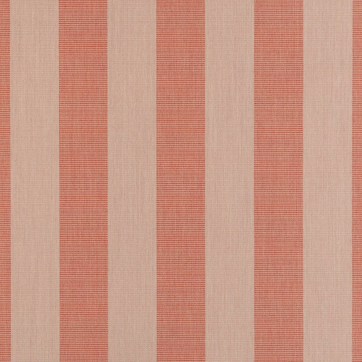 Expressive Blush Sunbrella