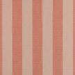 Expressive Blush Sunbrella