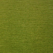 Bella Glory Kiwi