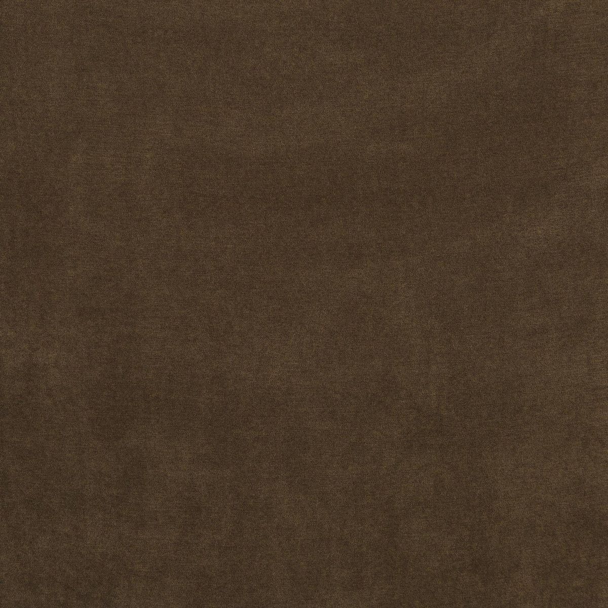 Terciopelo Coffee #339